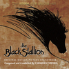 The Black Stallion