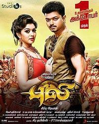 Puli
