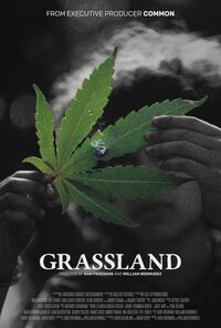 Grassland